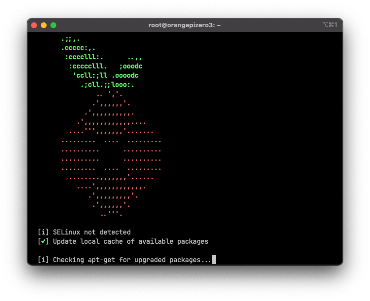 Pi-hole installation